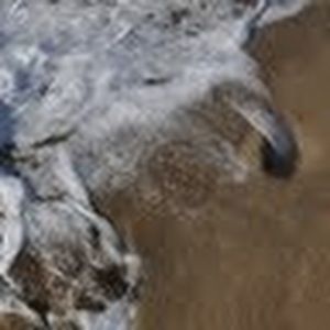 Meet your Posher, Katy